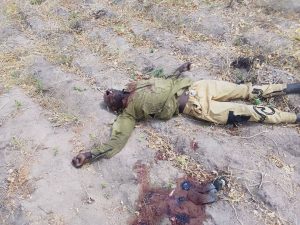 MNJTF Troops Thwart Terrorist Attack, Neutralize 10 Militants in Cameroon 