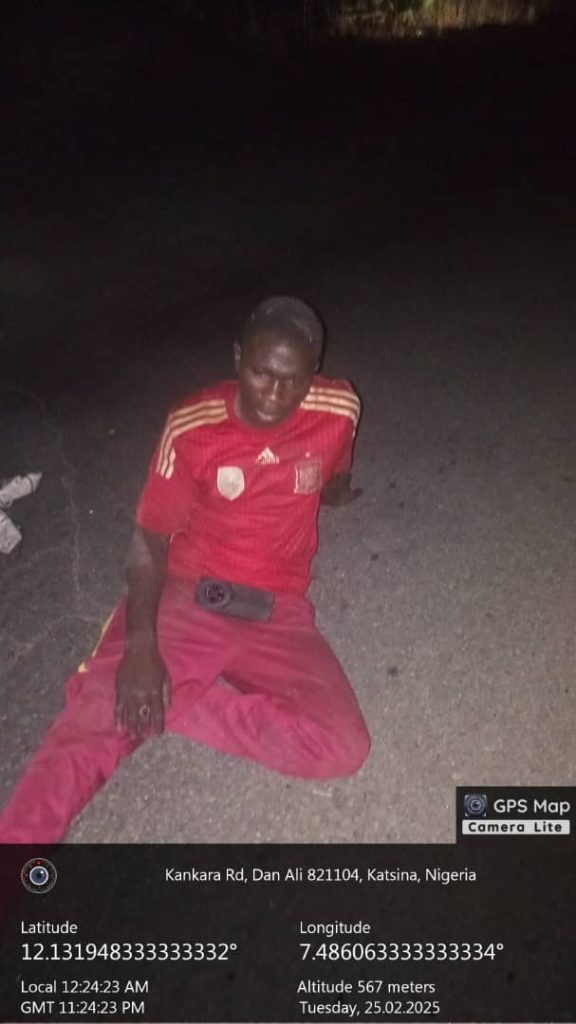Nigerian Troops Crush Terrorist Strongholds, Arrest Key Insurgents