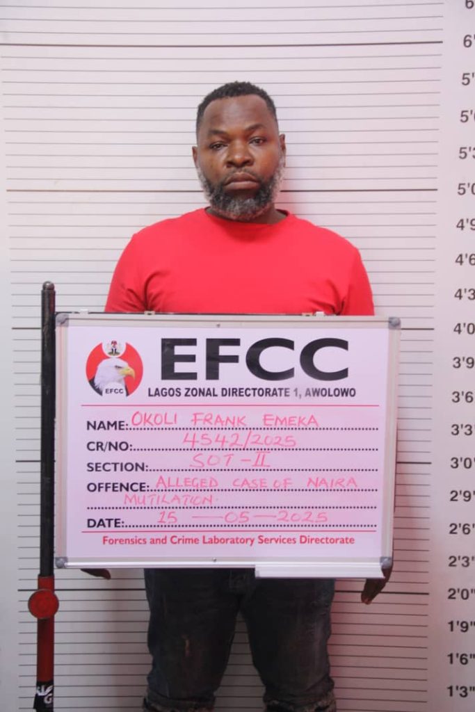 Lagos Court Jails Man 6 Months for Spraying Naira Notes